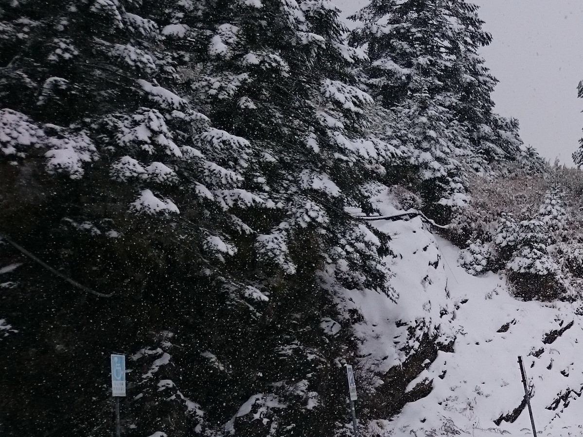 周末大雪山下雪機率高　上山需做好準備