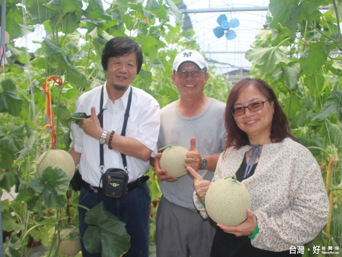 創造「花與瓜」輪作模式　小農范玉芳發現事業第二春