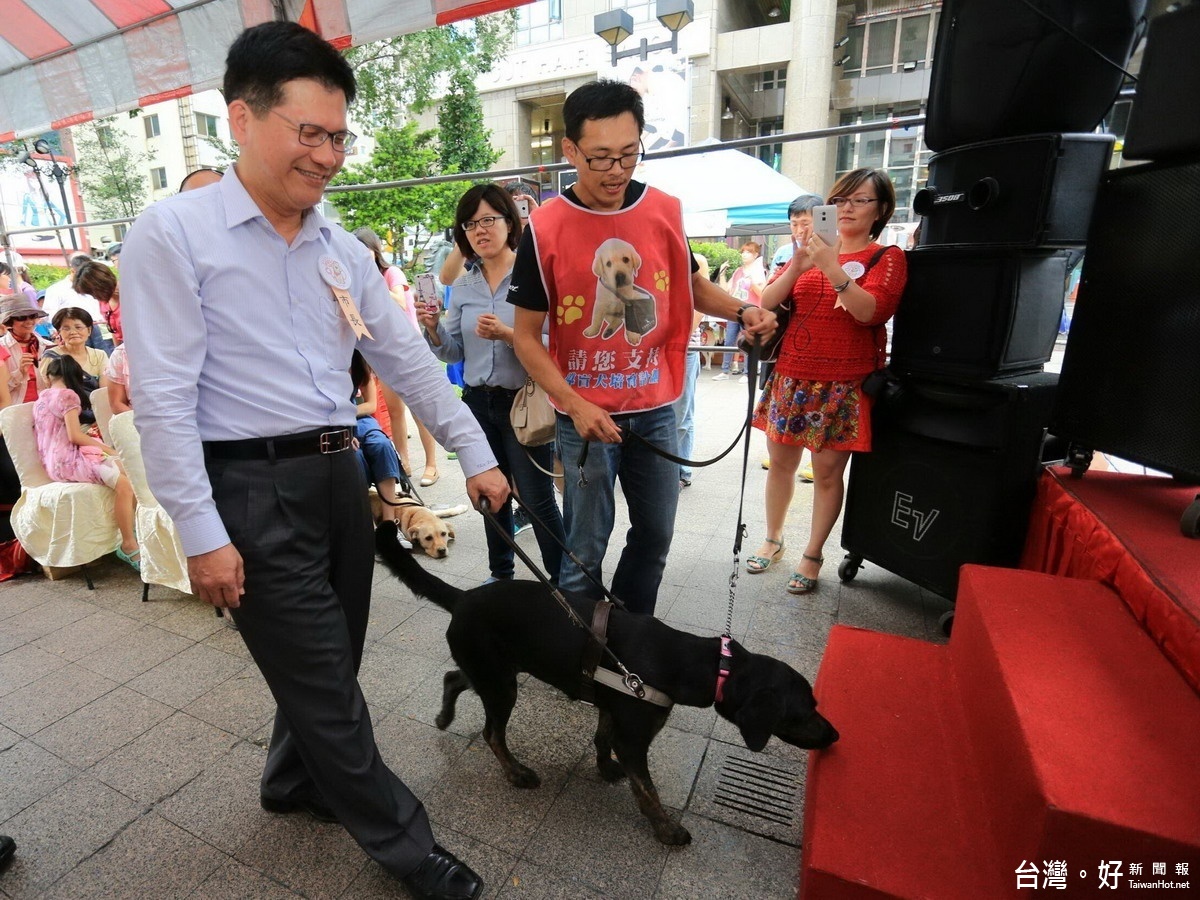 林佳龍應該到大安沙雕展走走看