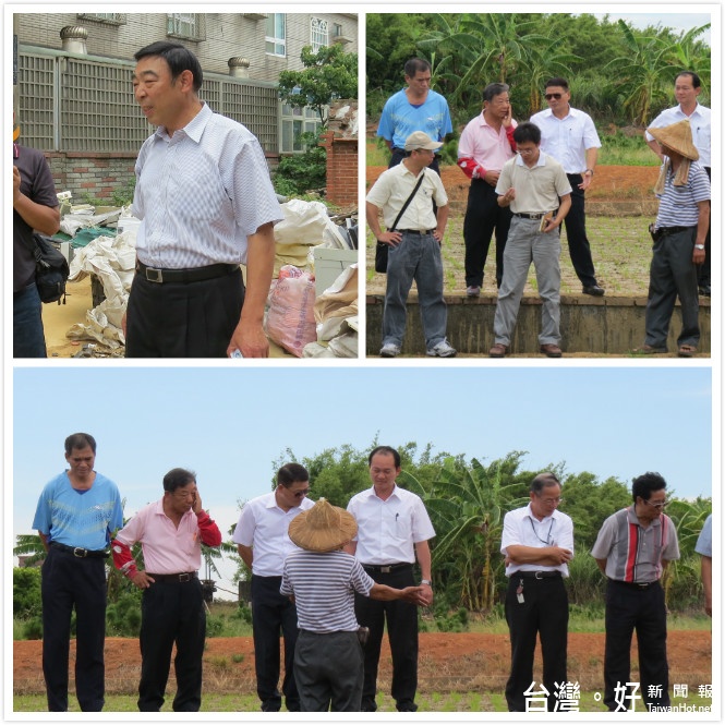 楊梅區發生疑似土地毒害事件，桃市府農業局長謝長勝等人到現場會勘，希望查明真相。