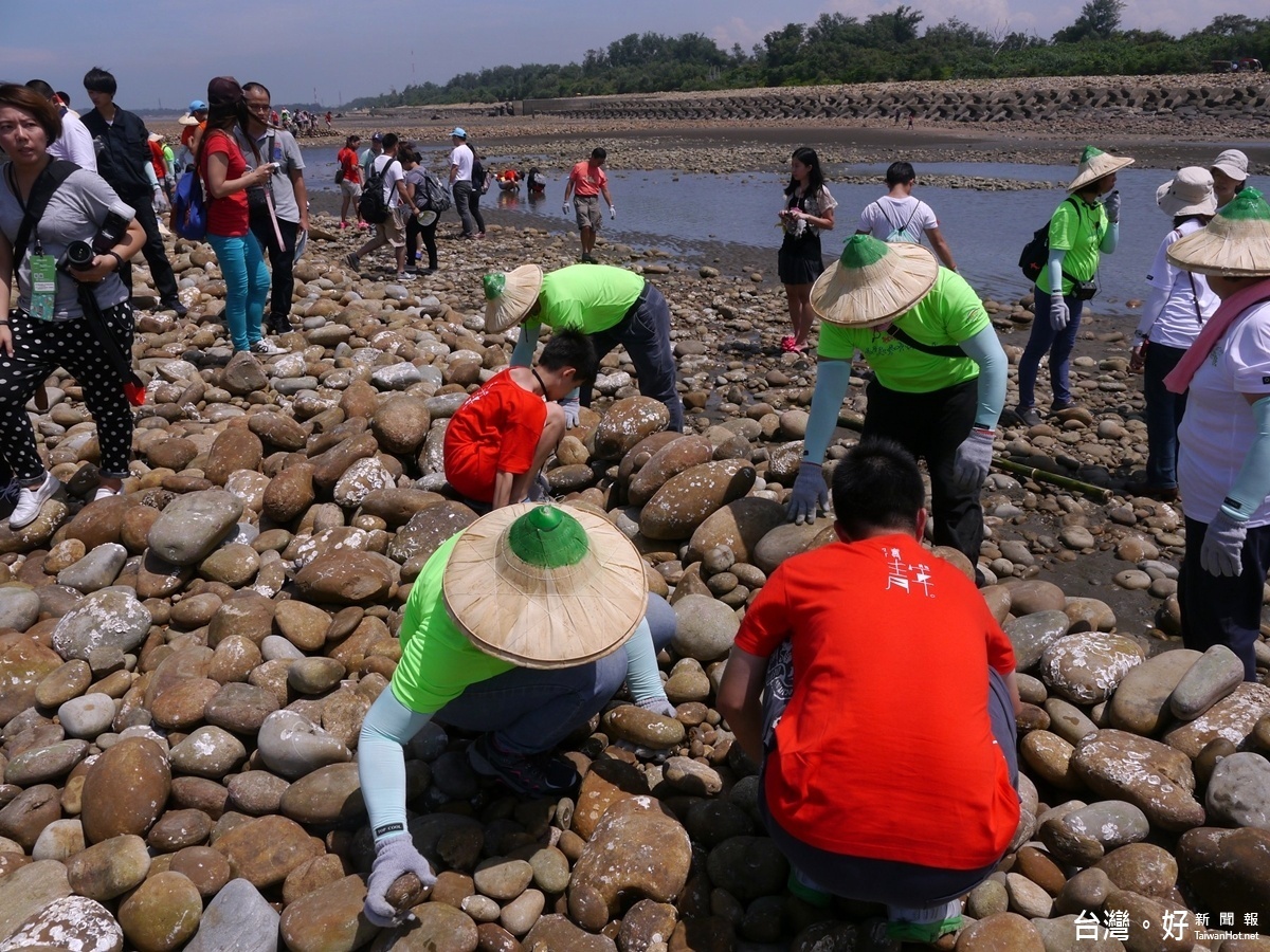 桃園地景之一，一同體驗石滬修築「千人築石滬」見證歷史，民眾完成最後階段