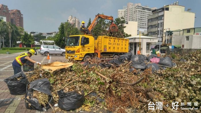 3天下來共清理56車次約150噸的路倒樹木。