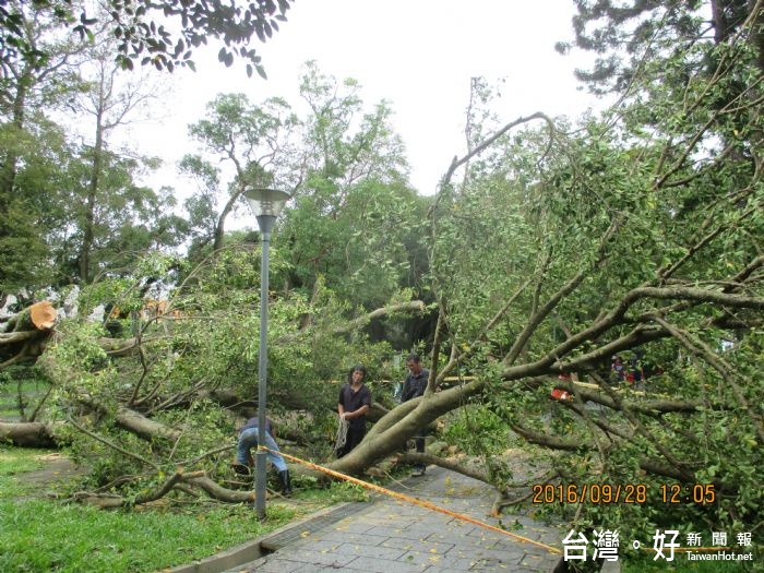 楊勝評局長表示，「梅姬」颱風侵襲，造成道路及步道倒樹影響交通，水源地受損及環境滿是樹枝落葉。