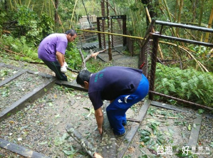 楊勝評局長表示，「梅姬」颱風侵襲，造成道路及步道倒樹影響交通，水源地受損及環境滿是樹枝落葉。