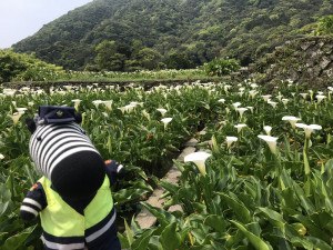 （圖／北市警察局交通警察大隊提供）