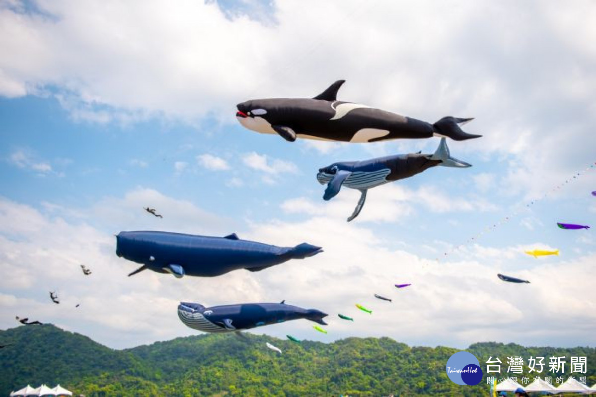 桃園國際風箏節開跑　逾30隻鯨魚「鯨」艷登場