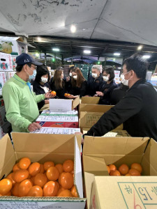 東勢農會的81班產銷班到台北果菜市場觀摩共同運銷