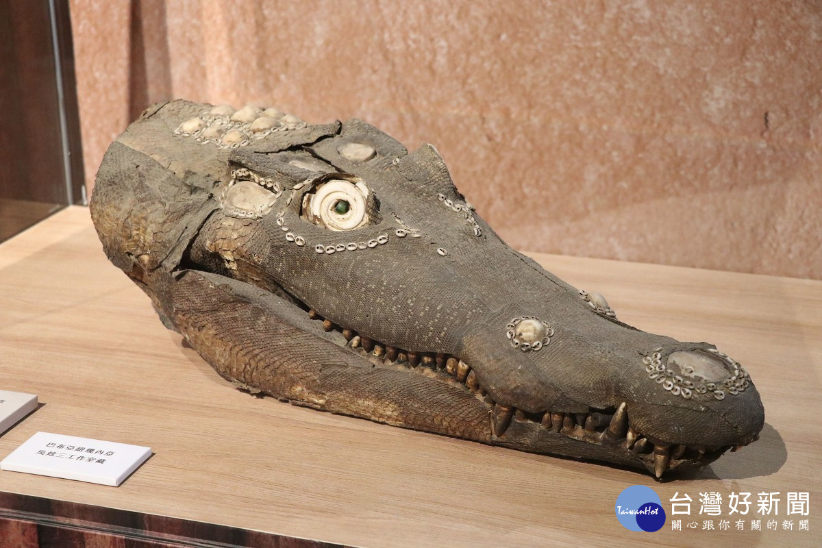 十三行博物館文化特展　「鱷魚頭」吸引觀眾目光