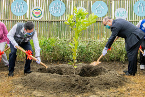 市長與富邦金控韓總經理親手栽種台灣原生濱海植物「瓊崖海棠」