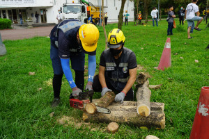 護樹注入防災強心針　北市公園處完成尖兵培訓