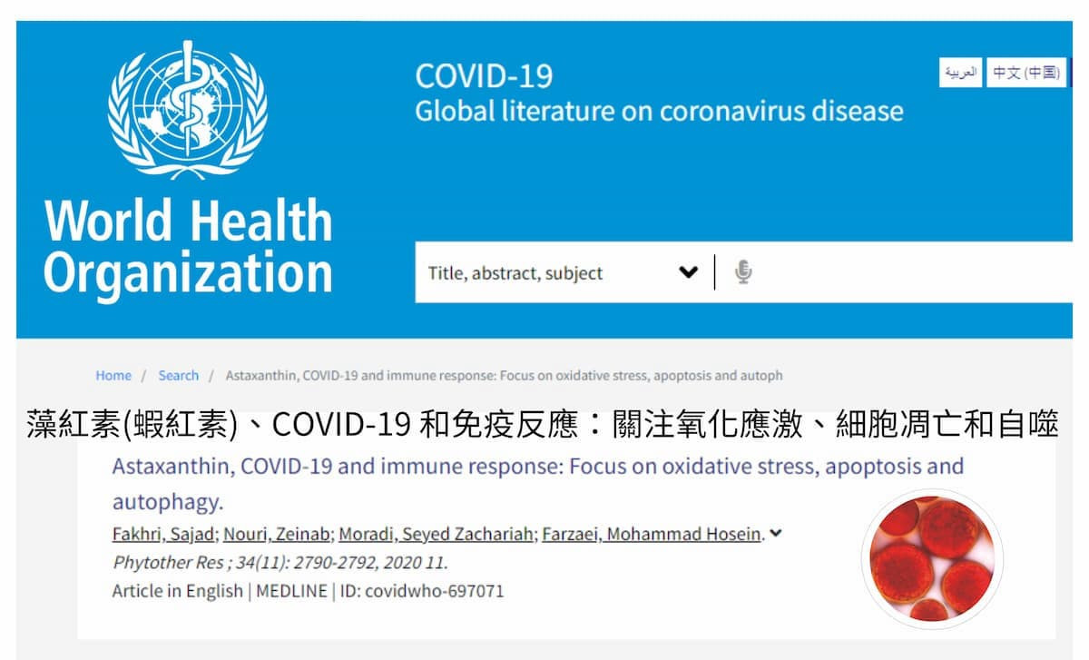WHO官網資料指出，藻紅素（蝦紅素）有巨大潛力能緩解COVID-19併發症。（圖／翻攝自WHO官網）