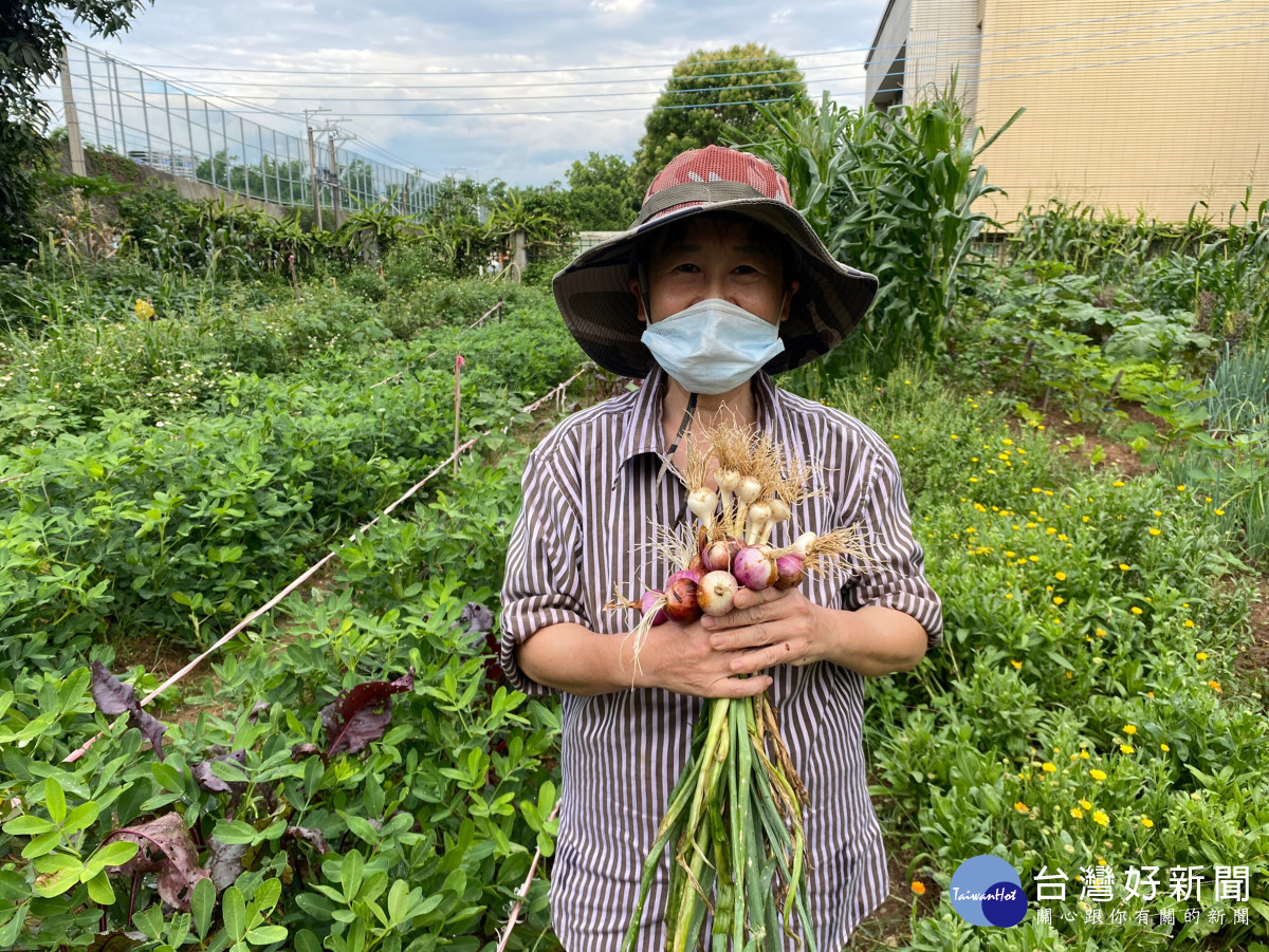 中市「環保農園」即起開放報名