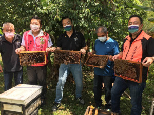 小蜂立大功！魚池活盆地絲瓜放蜂授粉活動。