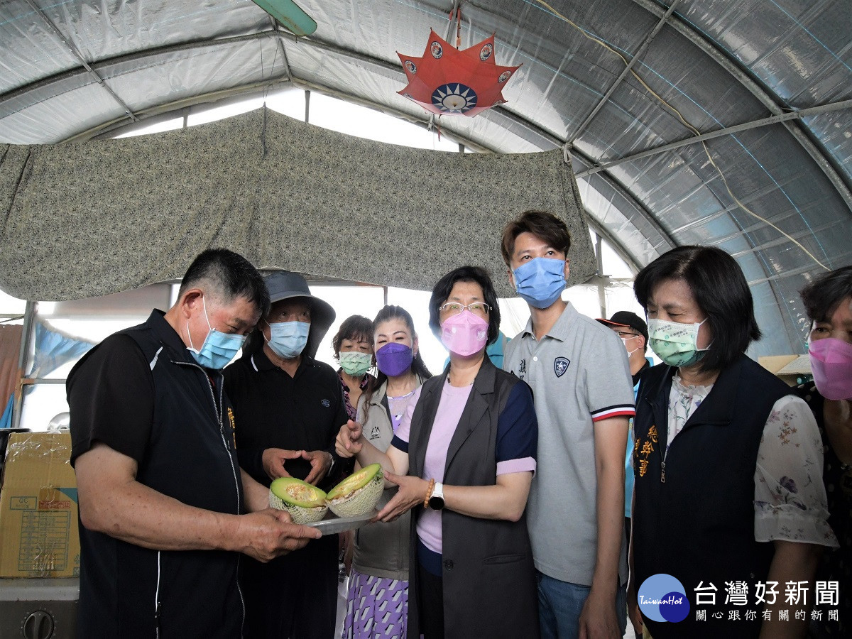 連續豪雨造成彰化農損嚴重　香瓜及苦瓜水傷腐爛盼政府救助 台灣好新聞 第5張