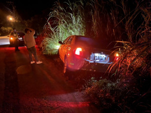 陳姓男子駕車行經台中東勢，因夜色昏暗，為閃避犬隻，衝向路旁草叢受困。