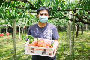 位於台中的「桃之鄉觀光果園」以網室栽種，降低50%以上用藥，吃得更放心。