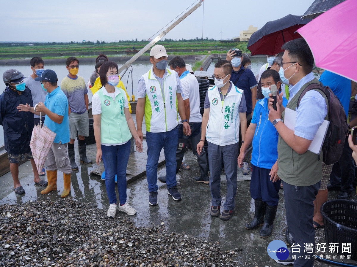 連日豪雨、高溫導致彰化養殖文蛤大量死亡　立委提報天然災害救助