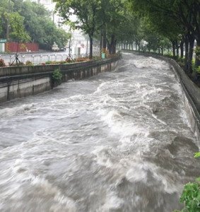 中市府加高南屯溪下游護岸 強降雨不溢淹