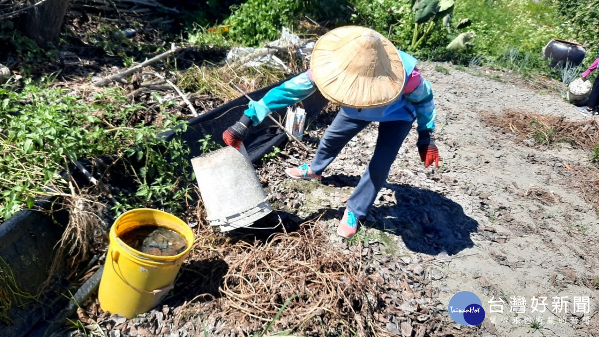 登革熱進入流行季節　臺東衛生局籲民眾加強環境孳清