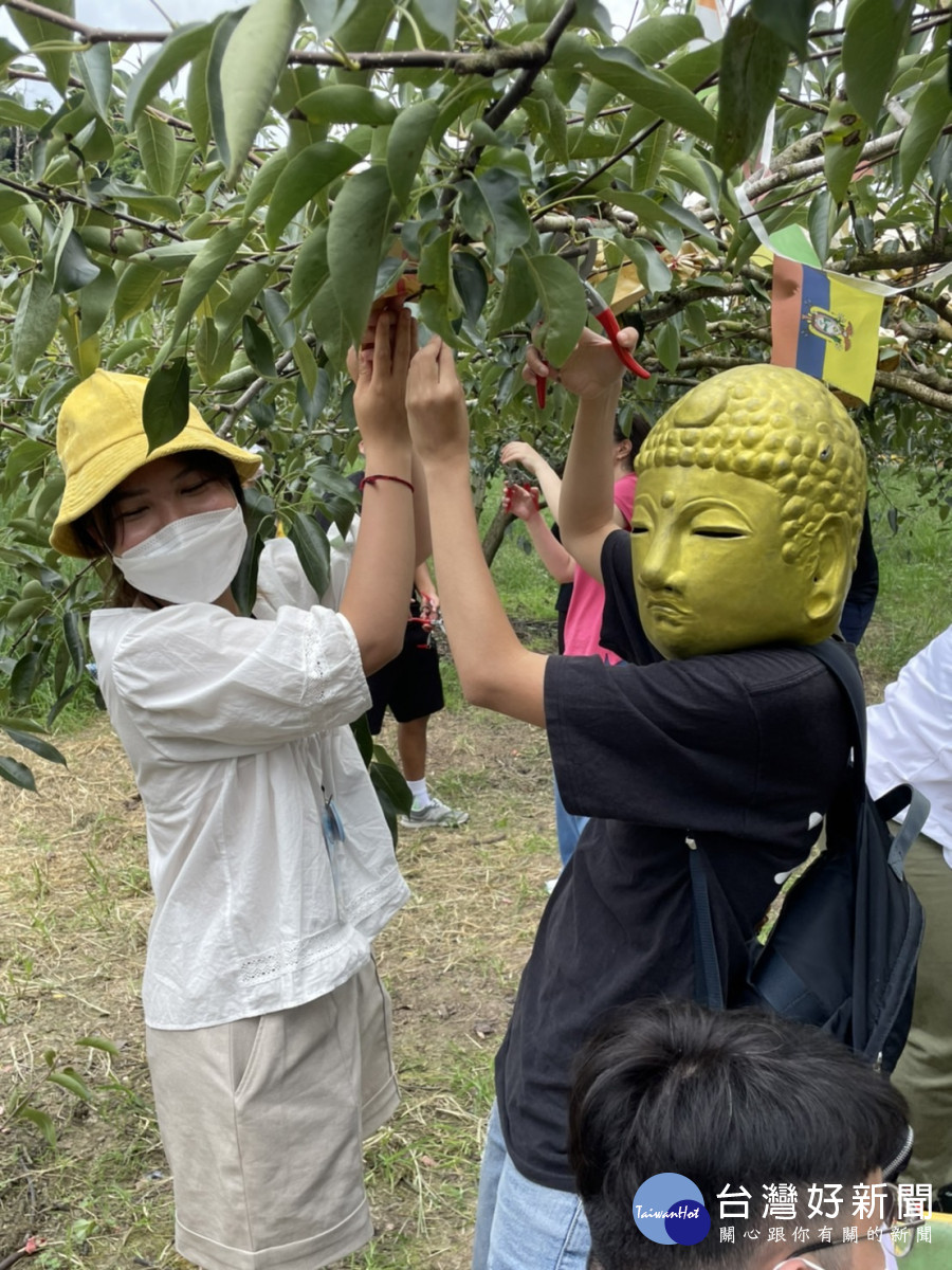 來自伊朗、巴基斯坦、智利等10國的國際學生，到台中東勢體驗採梨。