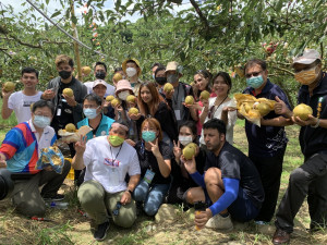 來自伊朗、巴基斯坦、智利等10國的國際學生，到台中東勢體驗採梨。