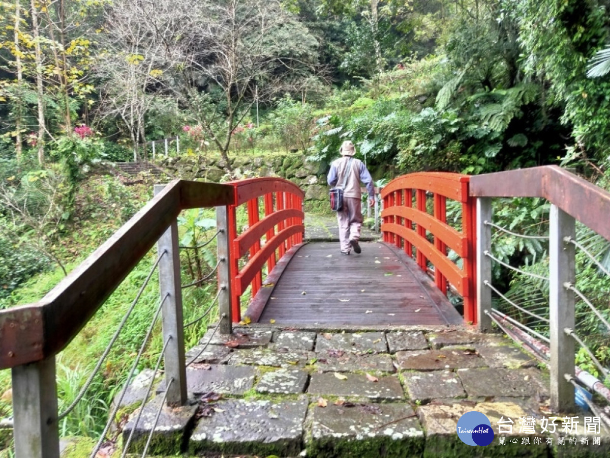 平溪紫東社區內還有一處「國家藥用植物園」，保留動植物的自然棲地生態，跟隨導覽人員的腳步珍惜山林間的藥用植物。（圖/新北市政府）