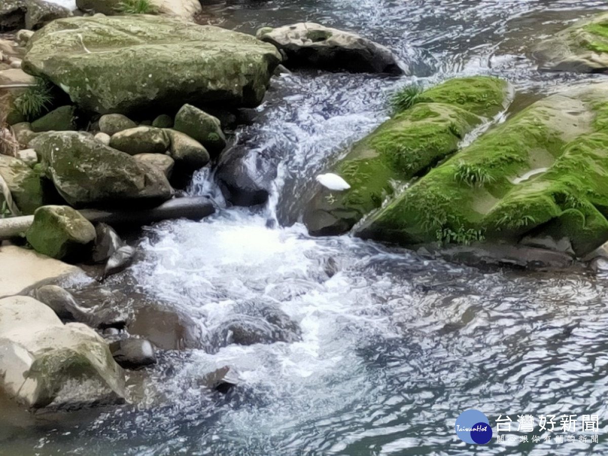 石碇烏塗溪親山步道沿途溪水潺潺，輔以山林景色，走自然、讀故事，循著牧童古道(摸乳巷)欣賞古道舊時風光。（圖/新北市政府）