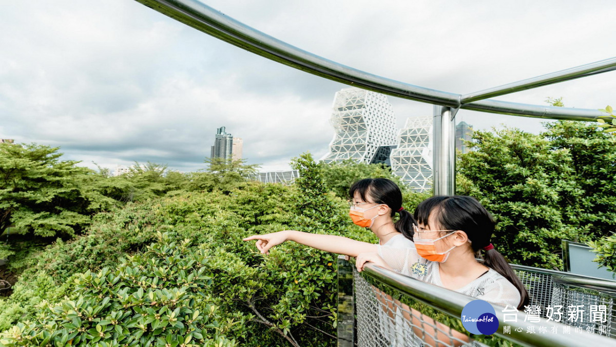 ▲《大樹宇宙-愛河森林慢板》民眾可循著步道緩緩登上樹梢，遠眺港區美景。（圖／記者 許高祥 翻攝）