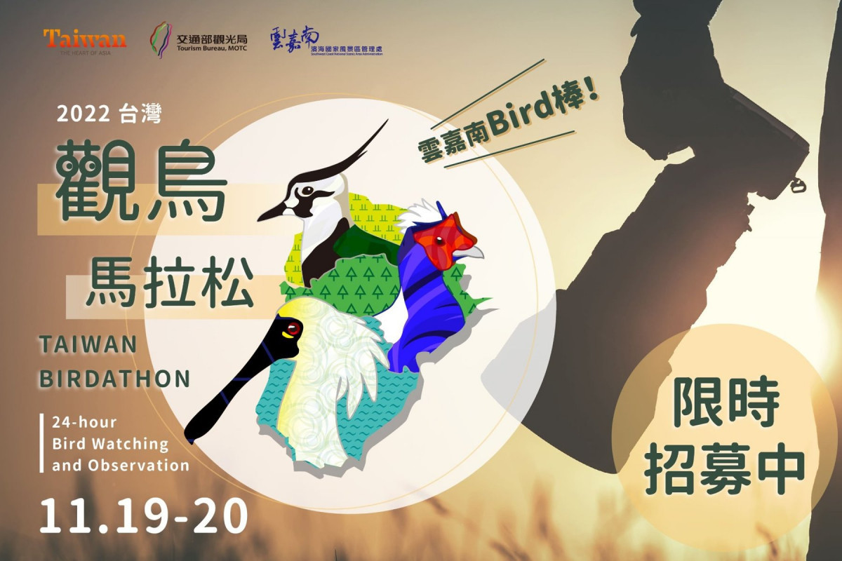 2022台灣觀鳥馬拉松　報名免費另有3000元補助