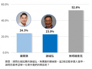 民眾對泛藍潛在縣長參選人的支持度。