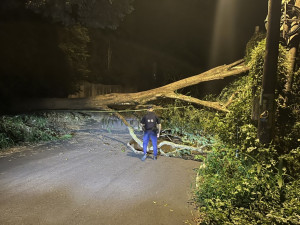 午後豪雨造成土石鬆動路樹倒塌，龍警交管及排除道路障礙。