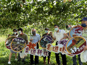 新社區農會整合區內抽藤坑及馬力埔兩大休閒農業園區，推出農遊套裝遊程。