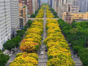 （圖／台北市公園處提供）