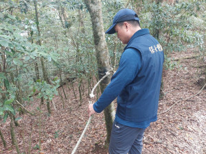 鳶嘴稍來步道攀繩遭人惡意割斷，害無辜山友抓空墜落20公尺深邊坡。