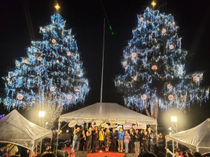 兩棵28公尺大雪松聖誕樹瞬間點亮燈飾，宣告2022山谷燈光節登場。