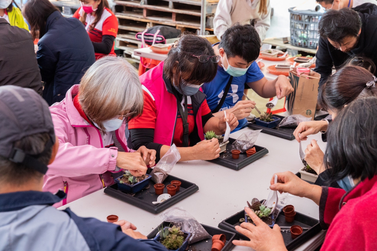 許多民眾參與蕎麥多肉盆栽、蕎麥飯糰DIY體驗。