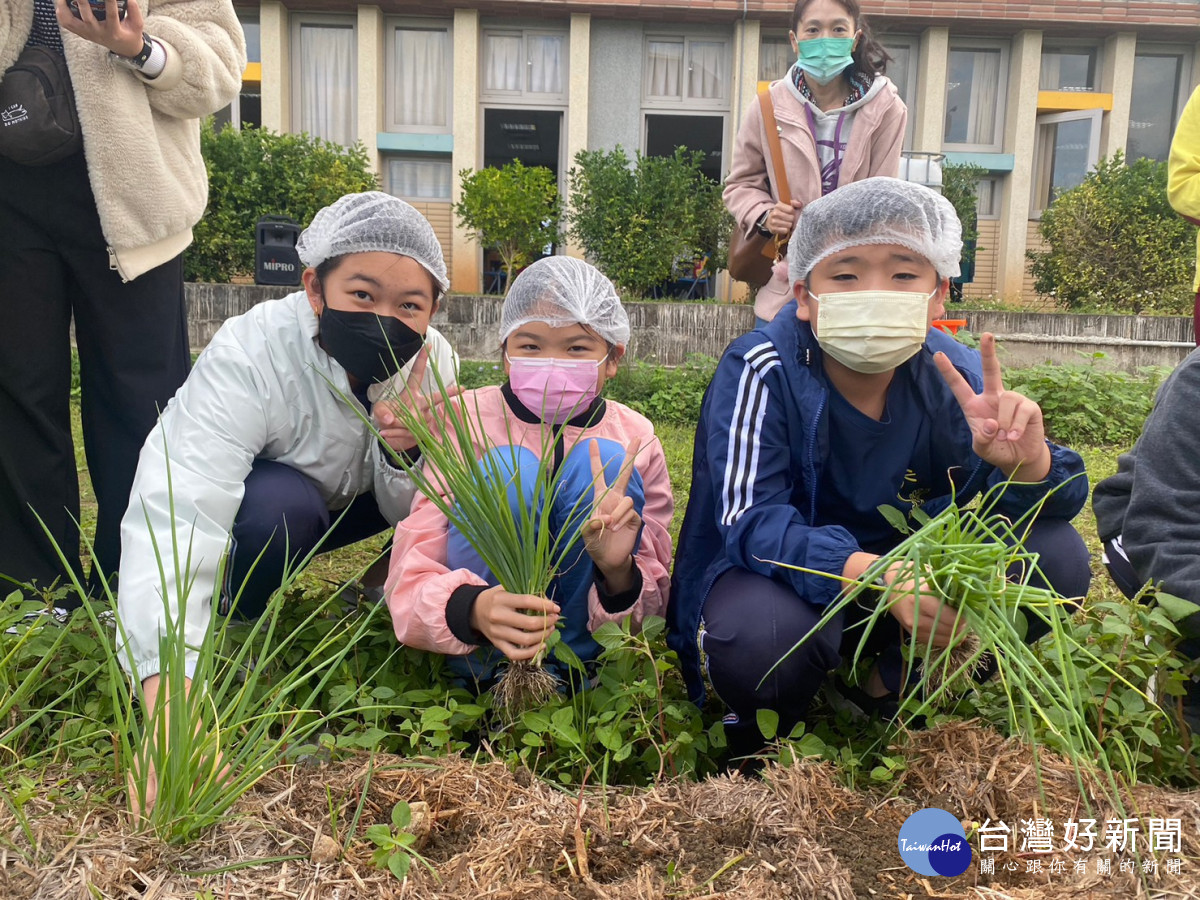 學童開心採青蔥。