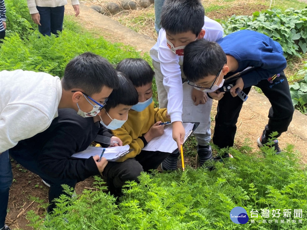 臺美生態學校表揚　新北36校獲認證為六都第一 台灣好新聞 第2張