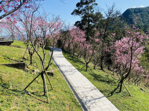 （圖／台北市大地處提供）