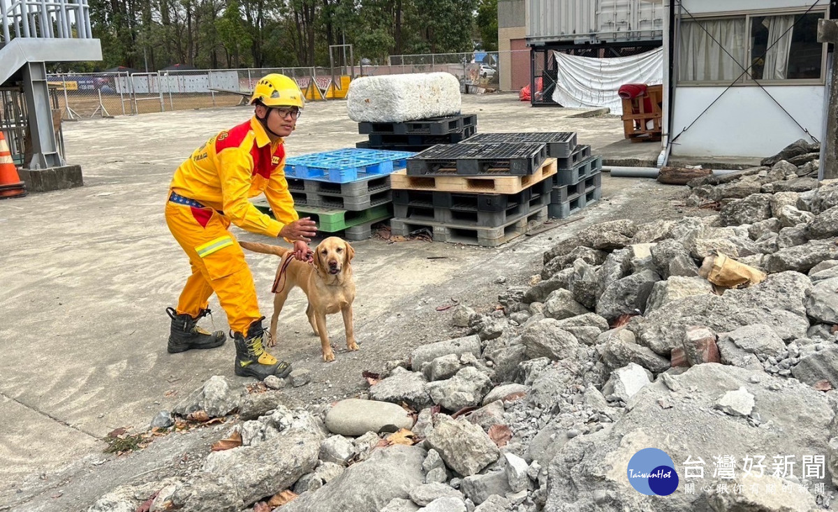 專業再提升！　竹市4隻搜救犬通過IRO國際檢測認證 台灣好新聞 第2張