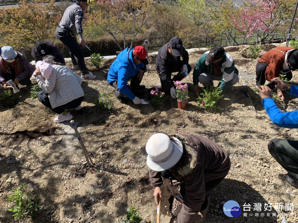 參山處長曹忠猷等人一同種下超過200株杜鵑花、天竺葵苗。