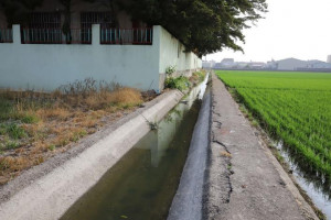 斗南鎮田頭農地重劃區田頭埤小給3-5水路老舊破損，影響農田灌溉及排水/雲林縣府提供