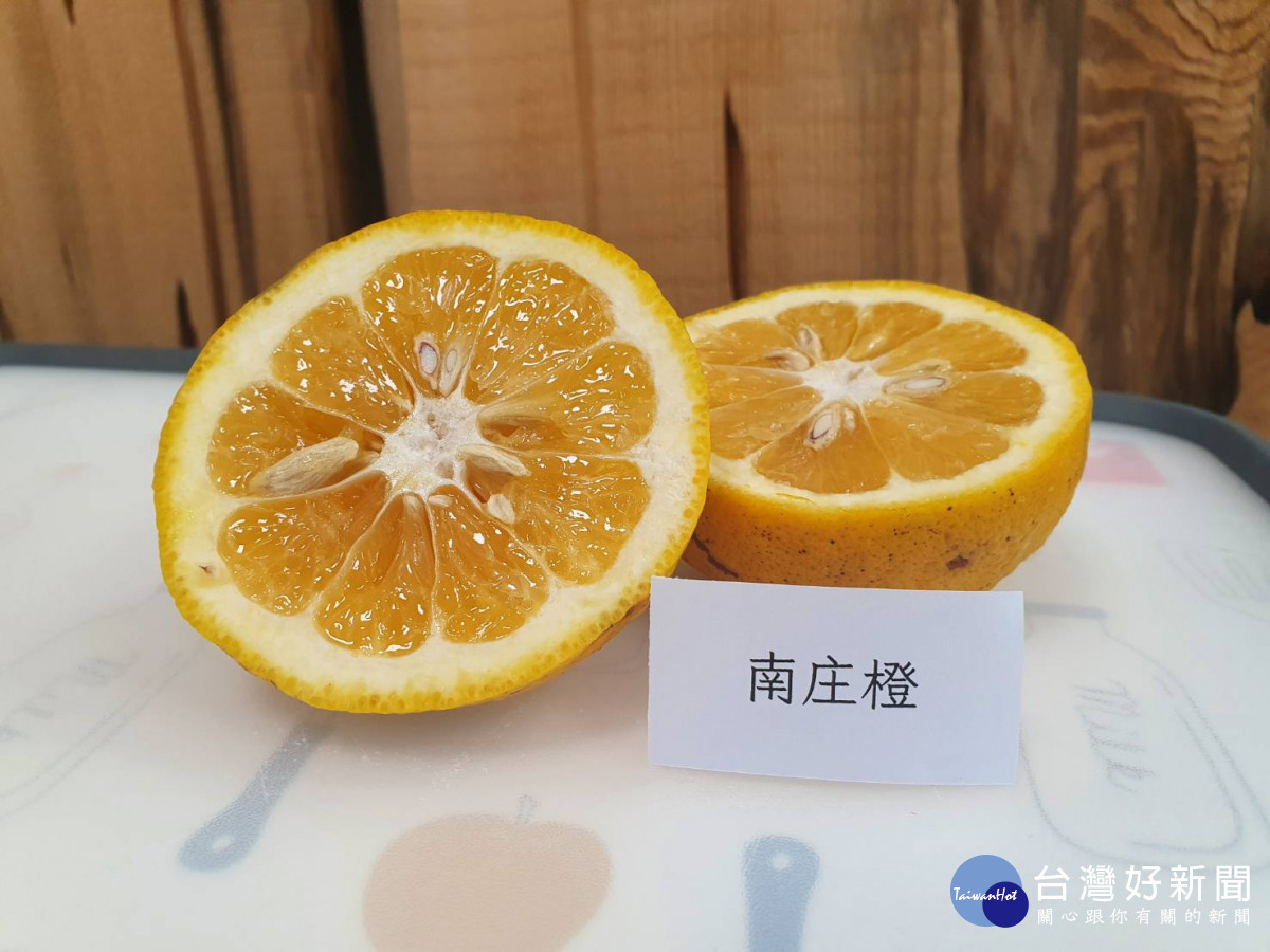 南庄橙獲世界果醬大賽金獎　新竹林管處原生地栽種