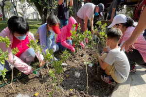 111年大里公園綠美化成果照片