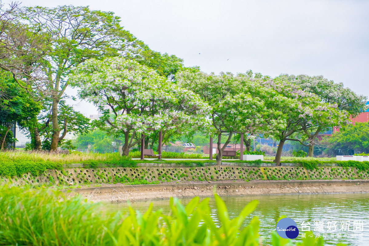 內定綠塘水岸公園將提供民眾休憩、觀景與生態保護的美好空間。