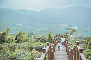 太興岩步道位於梅山166縣道是相當友善的登山步道／嘉義縣府提供