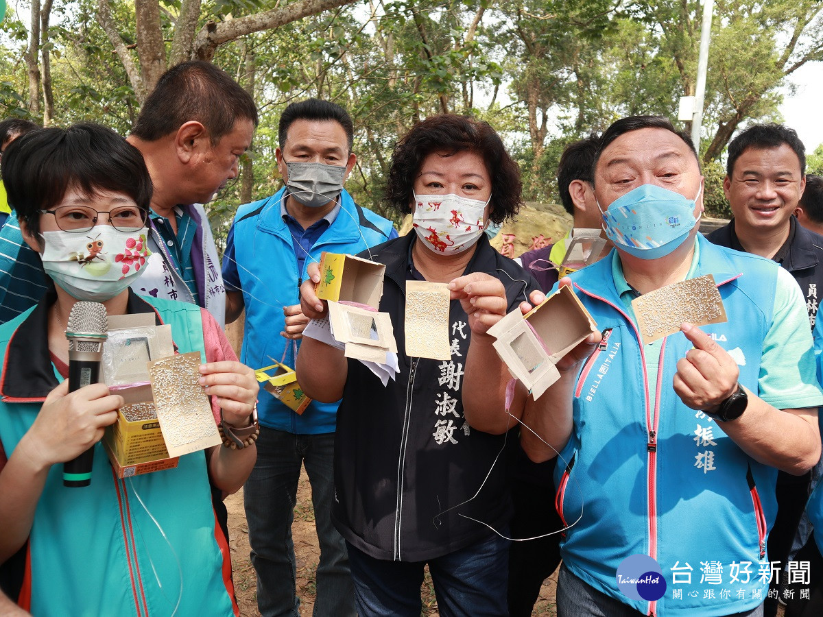 解決廢耕園區荔枝椿象問題　員林市釋放16萬隻平腹小蜂生物防治