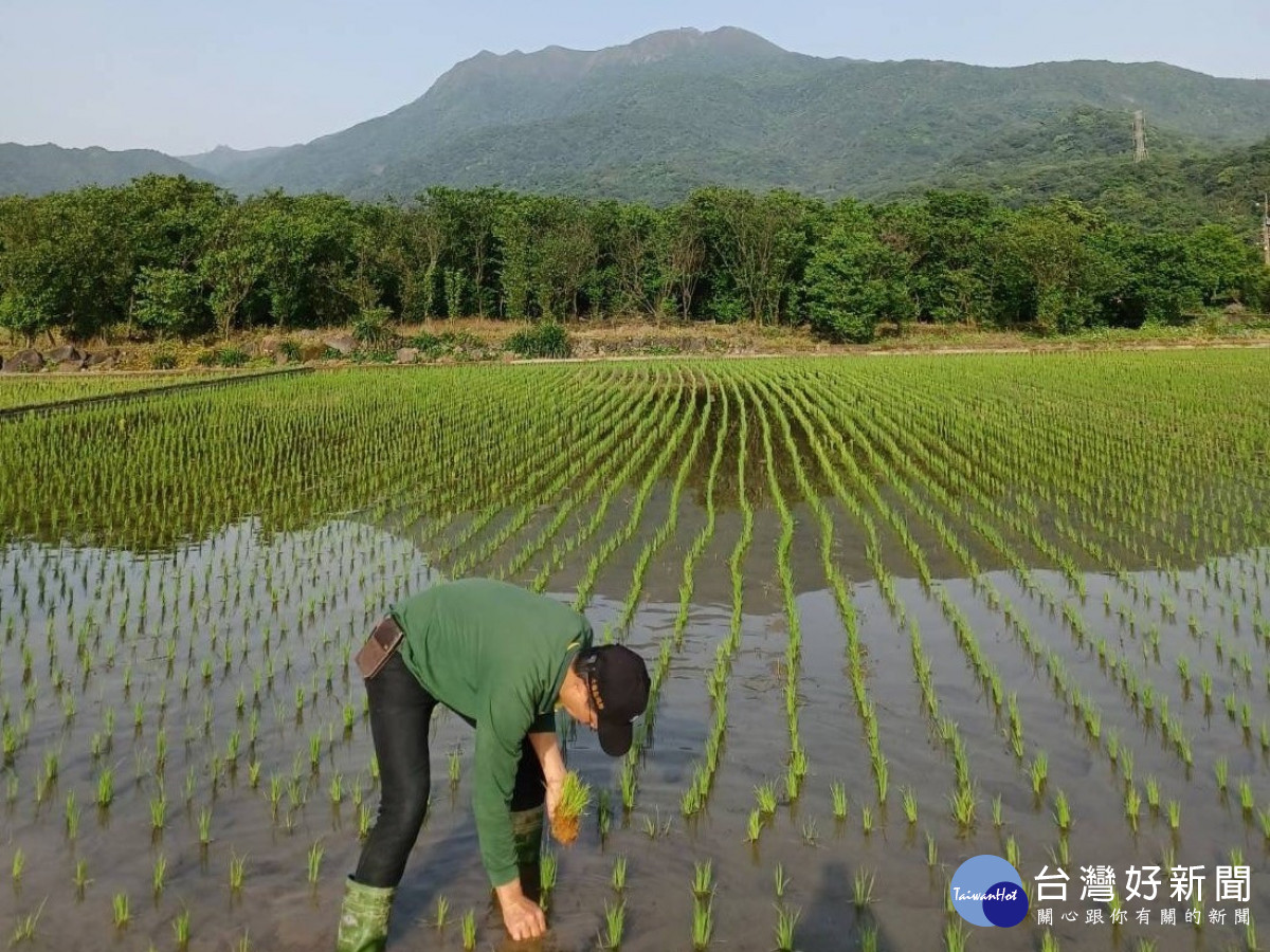 新北開放申請生態服務給付　每公頃最高領7萬