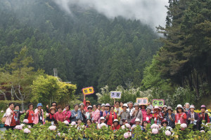 松年大學彰基分校前往南投杉林溪森林遊樂區，進行生態及文化之旅。圖／彰基醫院提供