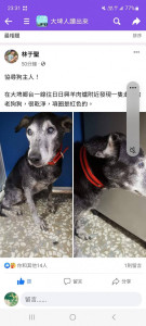 大埤所員警協助民眾找回愛犬／警方提供